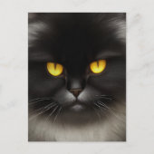 Grappig Angry Fluffy Black Perzische Kitty Cat Fac Briefkaart (Voorkant)