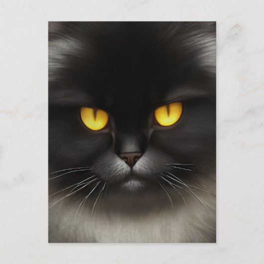 Grappig Angry Fluffy Black Perzische Kitty Cat Fac Briefkaart (Voorkant)