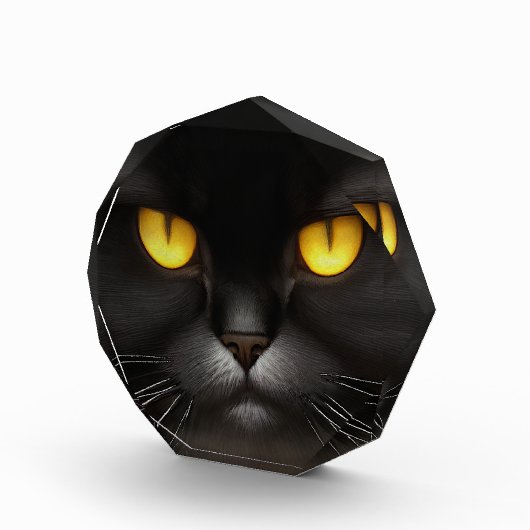 Grappig Angry Fluffy Black Perzische Kitty Cat Fac Fotoblokken (Rechts)