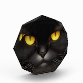 Grappig Angry Fluffy Black Perzische Kitty Cat Fac Fotoblokken (Links)