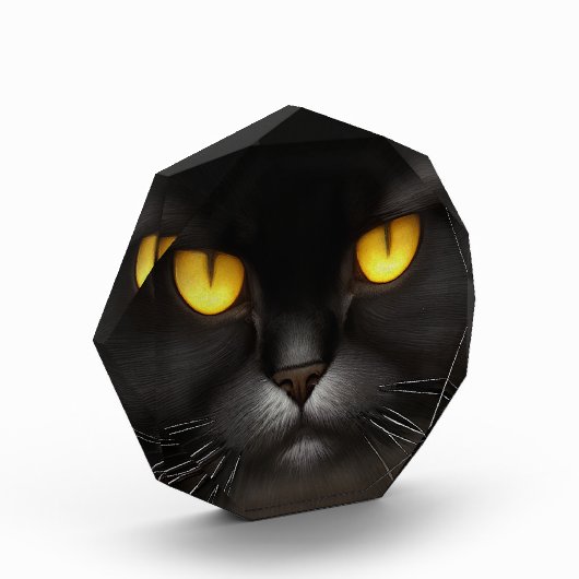 Grappig Angry Fluffy Black Perzische Kitty Cat Fac Fotoblokken (Links)