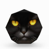 Grappig Angry Fluffy Black Perzische Kitty Cat Fac Fotoblokken (Voorkant)