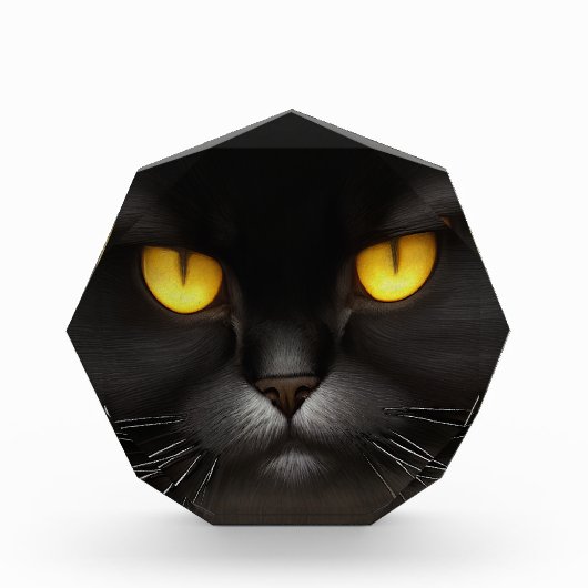 Grappig Angry Fluffy Black Perzische Kitty Cat Fac Fotoblokken (Voorkant)