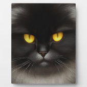 Grappig Angry Fluffy Black Perzische Kitty Cat Fac Fotoplaat (Voorkant)