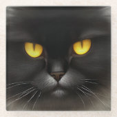 Grappig Angry Fluffy Black Perzische Kitty Cat Fac Glazen Onderzetter (Voorkant)