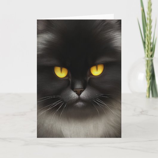 Grappig Angry Fluffy Black Perzische Kitty Cat Fac Kaart (Voorkant)