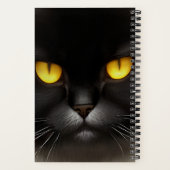 Grappig Angry Fluffy Black Perzische Kitty Cat Fac Notitieboek (Achterkant)