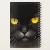 Grappig Angry Fluffy Black Perzische Kitty Cat Fac Planner (Achterkant)