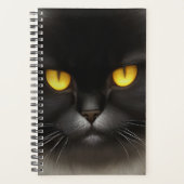 Grappig Angry Fluffy Black Perzische Kitty Cat Fac Planner (Voorkant)