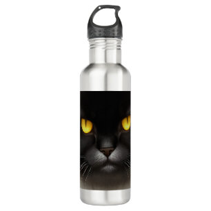 Grappig Angry Fluffy Black Perzische Kitty Cat Fac Waterfles