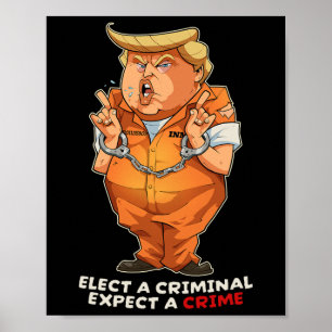 Grappig Anti-trump Kies een Crimineel Misdrijven G Poster