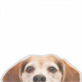 Grappig Beagle Hond Half Gezicht Sticker (Voorkant)