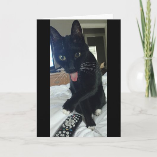 grappig Bedankt kaart kat verbergt afstandsbedieni (Voorkant)