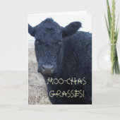 Grappig Bedankt Schattigee Black Cattle Koe (Voorkant)