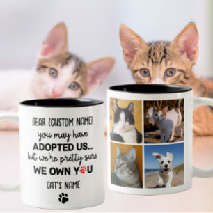 Grappig Beste Kat Gezegde, Aangepaste 4 Kat's Foto Tweekleurige Koffiemok