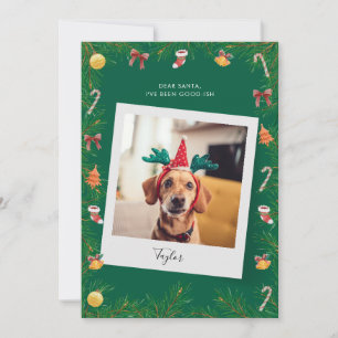 Grappig Beste Kerstman Leuke Lijst Hond Foto Kerst Feestdagenkaart
