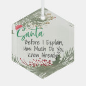 Grappig  Beste Kerstmis Ornament, Glas Ornament (Voorkant)