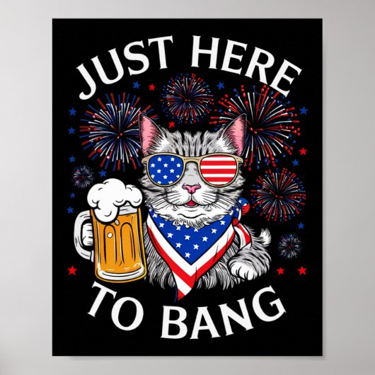Grappig bier 4 juli kat liefhebber gewoon hier om  poster (Voorkant)