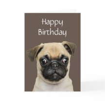 Grappig, Birthday Happy Pug Humor