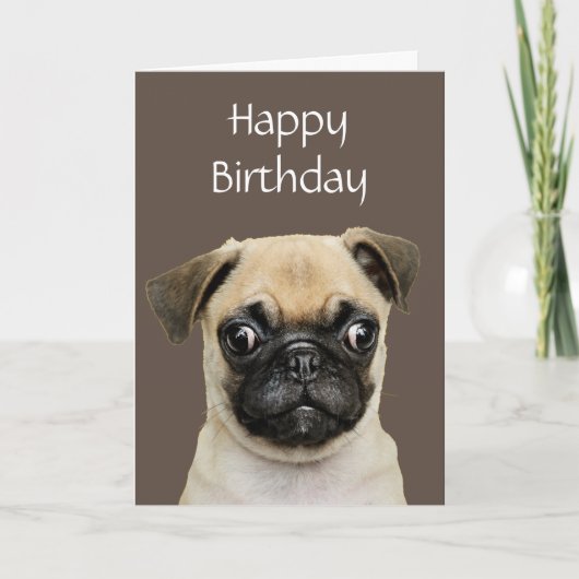 Grappig, Birthday Happy Pug Humor Kaart (Voorkant)