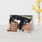 Grappig Boerderij Kat Foto Wenskaart Kaart (Gele Bloem)