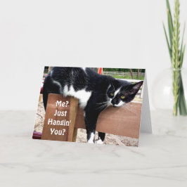 Grappig Boerderij Kat Foto Wenskaart Kaart