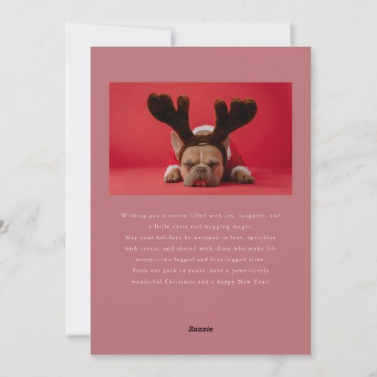 Grappig Bont Echte Joy Hond Foto Roze Kerst Feestdagenkaart (Achterkant)