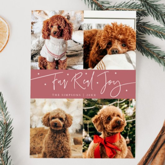Grappig Bont Echte Joy Hond Foto Roze Kerst Feestdagenkaart