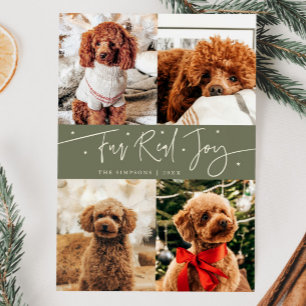 Grappig Bont Echte Joy Hond Foto Wijze Groene Kers Feestdagenkaart