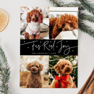 Grappig Bont Echte Joy Hond Foto Zwart Kerstmis Feestdagenkaart