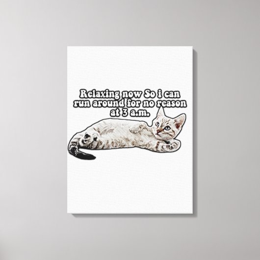 Grappig boze kattenmeme voor katteneigenaars en -l canvas afdruk (Voorkant)