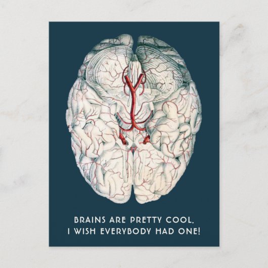 Grappig  brein "Ik wou dat iedereen er een had" Briefkaart (Voorkant)