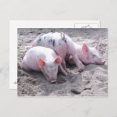 Grappig briefkaart (Voorkant / Achterkant)