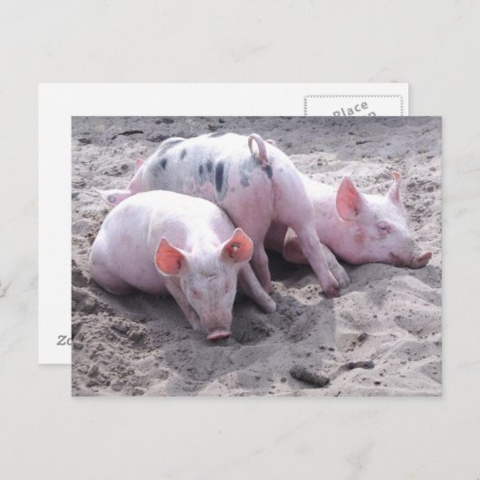 Grappig briefkaart (Voorkant / Achterkant)