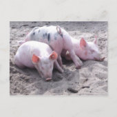 Grappig briefkaart (Voorkant)