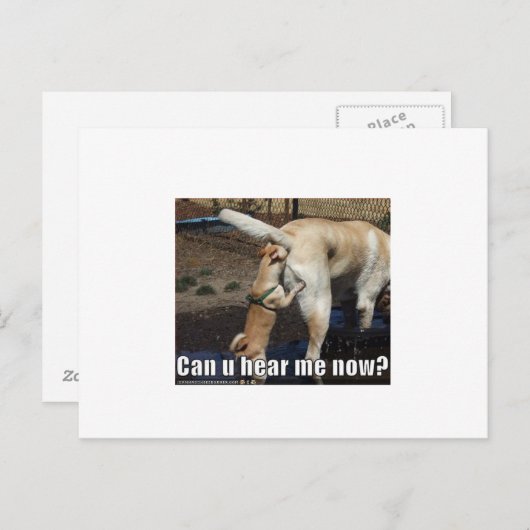 grappig briefkaart (Voorkant / Achterkant)