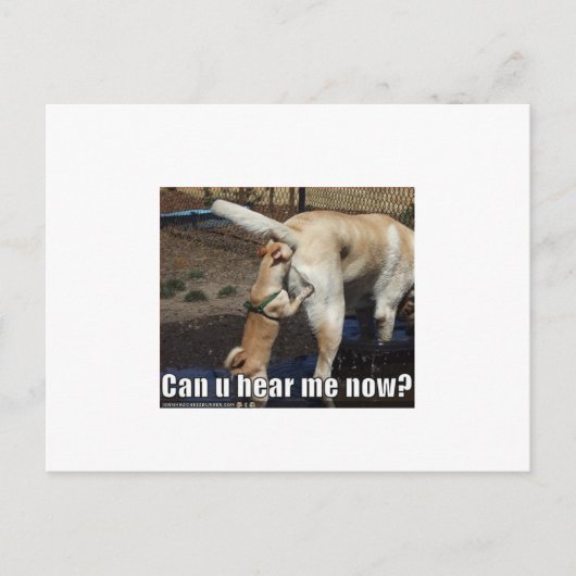 grappig briefkaart (Voorkant)