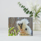 Grappig briefkaart (Staand voorkant)