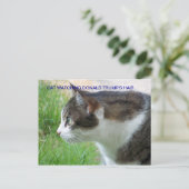Grappig Briefkaart: Cat Watching Donald Trump's Ha Briefkaart (Staand voorkant)