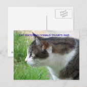 Grappig Briefkaart: Cat Watching Donald Trump's Ha Briefkaart (Voorkant / Achterkant)