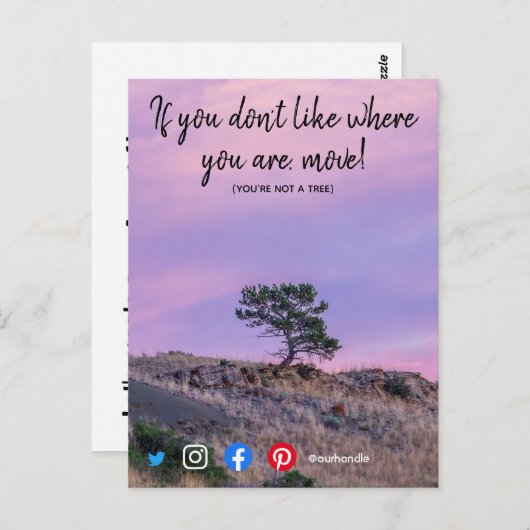 grappig briefkaart dat je geen boom bent (Voorkant / Achterkant)