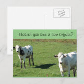 Grappig Briefkaart: "Heb je nog nooit een Koe gezi Briefkaart (Voorkant / Achterkant)