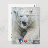 grappig briefkaart lang wit beer (Voorkant / Achterkant)