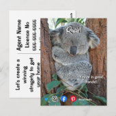 grappig briefkaart ontspannen koala (Voorkant / Achterkant)