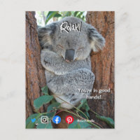 grappig briefkaart ontspannen koala