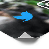 grappig briefkaart ontspannen koala poster (Hoek)