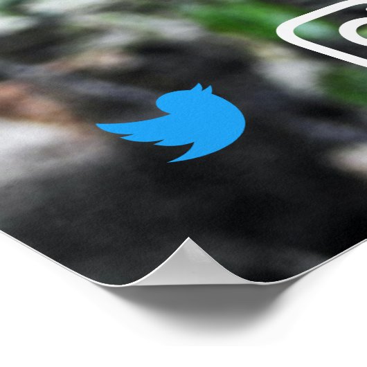 grappig briefkaart ontspannen koala poster (Hoek)