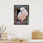 grappig briefkaart van onroerend goed, gekreukt me poster (Keuken)