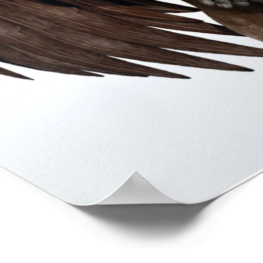 Grappig Buzzard Bird: "Waar kijk je naar?" Poster (Hoek)