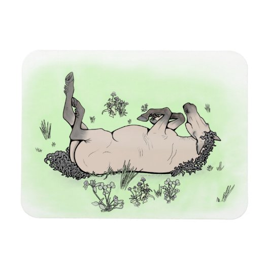 Grappig cadeau voor paardenliefhebbers Wispelturig Magneet (Horizontaal)